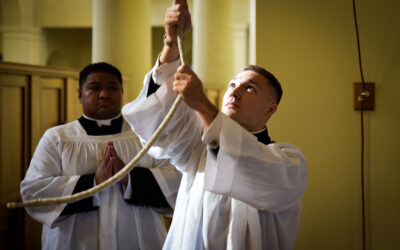 Minor Orders: November 22nd, 2025