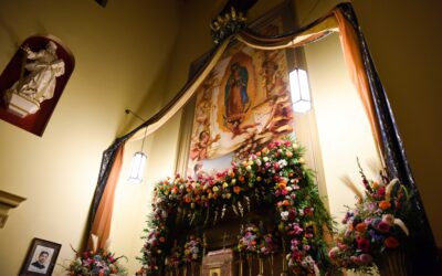 Feast of Our lady of Guadalupe: Pontifical First Vespers and Dinner